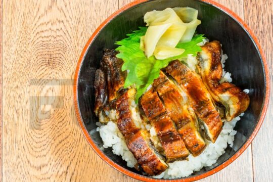 Món Unagi Donburi