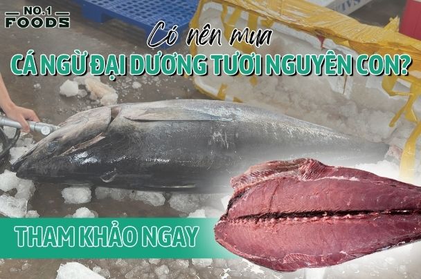 cá ngừ đại dương tươi nguyên con