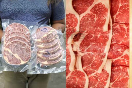 hokubee vs wagyu