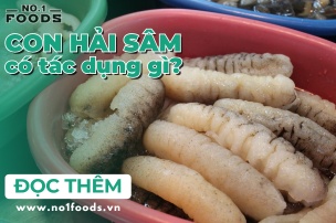 con hải sâm