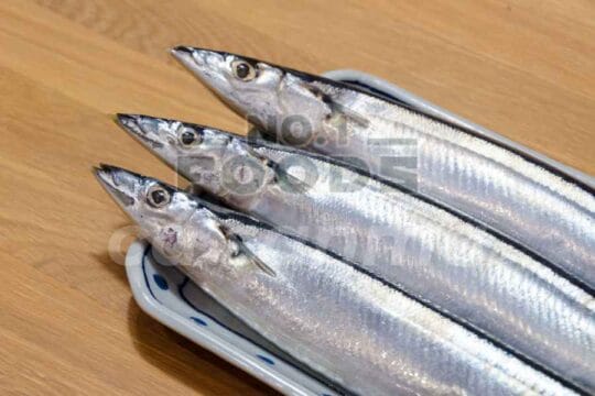 cá sanma